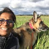 Veterinary Tech Available