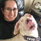 Seaside Pet Sitter Looking For Job Opportunities in California