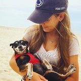 Interviewing For an Animal Lover Opportunity in Westerly