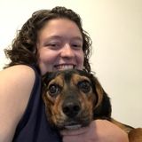 Pet Sitting Offered in Chantilly