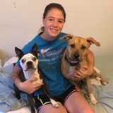 Where pets are family