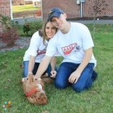 Looking for Dog walkers and dog boarders in area of Bethel Park