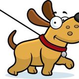 Looking for a Dog Walker for 1hr on Weekdays