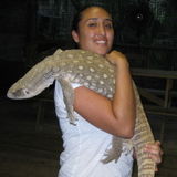 Veterinary tech & former zoo keeper ready to care