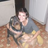 Great Dog Walking Available