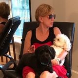 Breathe-Easy Dog Services - WalkRunHousesittingVisit