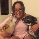 Flexible Pet Sitting Available