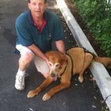 Most Talented House Sitting Provider in Davie
