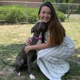 Pet Sitter looking to be hired in North Carolina