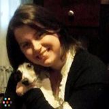 Dailing Dog Walker needed - 4 days a week