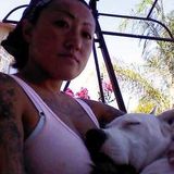 Qualified and Dependable Pet Sitter - Available Immediately