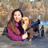 Available: Responsible and caring pet sitter in Mundelein, Illinois