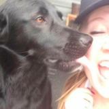 Pet sitter/ walker will treat your fur babies like my own :)