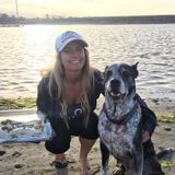 Seeking Pet Sitter Jobs in North County San Diego