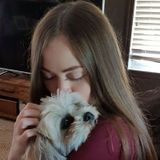 Available: Capable Dog Walker and sitter.