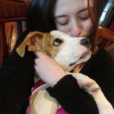 Experienced pet sitter/walker with a flexible schedule