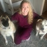 I am a Licensed Veterinary Technician Looking For an extra Pet Sitting Job in Monroe, New York.