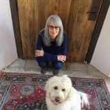 Pet / Housesitter Available , Mature (61) Physically fit , non-smoker and non-drinker, very tidy reliable Woman.