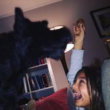 Experienced Dog Lover