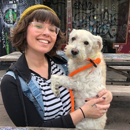 Experienced dog walker and pet sitter open to new clients! Dog Walker