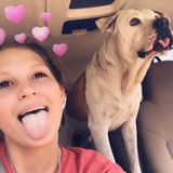 Most Trustworthy Pet Sitter In Middleburg.