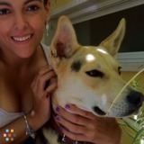 Dog Walker ! Dufferin/St. Clair