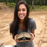 Wonderful Baby-sitter in Little Rock, Arkansas