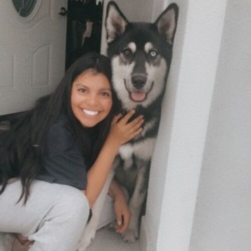 best pet care near me