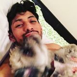 Jamaica Pet Sitter Searching for Being Hired in New York