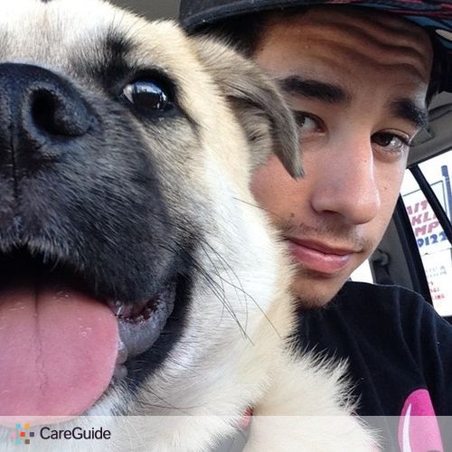 Pet Care Provider Dylan K's Profile Picture