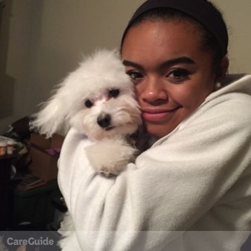 Pet Care Provider Gracie C's Profile Picture