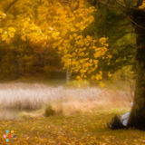 Excellent Photographer Available