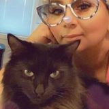 Pet Sitting Offered in Richmond Hill