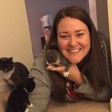 Respectful, Experienced, Pet Loving House Sitter