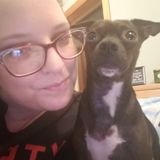 Professional Organizer & Virtual Assistant Available for Housesitting and Pet Care