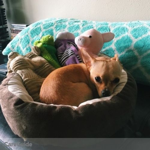 Pet Care Job Ceara Bell's Profile Picture