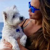 Searching for a House and Pet Sitter Job in Campbell