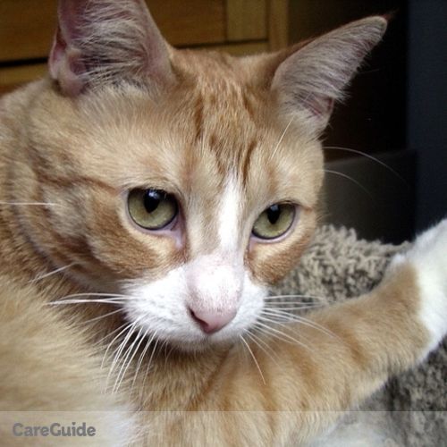 Pet Care Job Deana K's Profile Picture