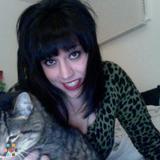 Professional/Private Tutor Available Chicagoland Area/North Side/North Suburbs
