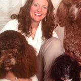 Available: Loving Petsitter in Orangeburg, New York