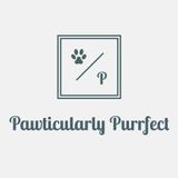 Long Branch Dog Walker Seeking Job Opportunities