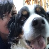 Fun Walk For Dogs
