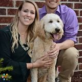 Loving and Active Dog Sitter and A.M.& P.M walker/runner