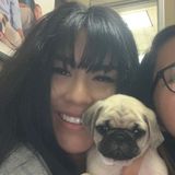 Seeking Glendale Dog Sitting Professional Opportunity