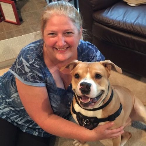 House Sitter Provider Bonnie L's Profile Picture