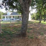 In-home Dog Boarding and Daycare