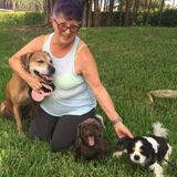 Qualified pet sitter that will love your pet the way you do !