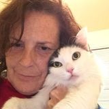 Seeking a Pet Care Provider Opportunity in Bristol