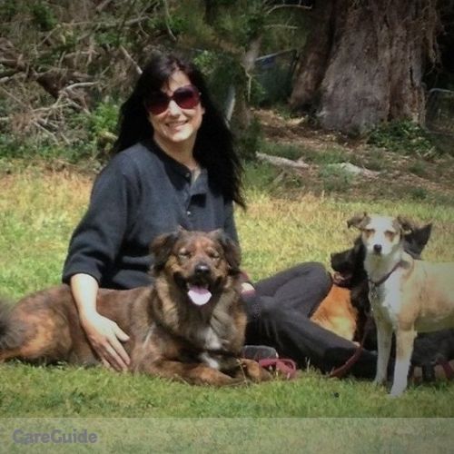 Pet Care Provider Roaming Hound D's Profile Picture
