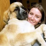 Animal Lover & Care Provider